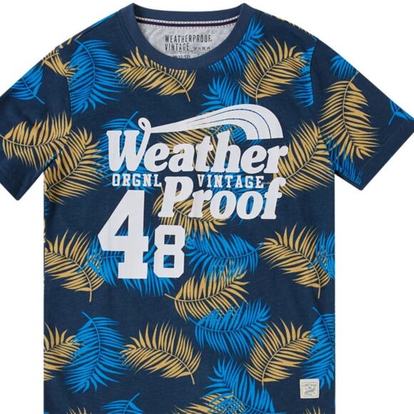 Big Boys Weatherproof Short Sleeve Graphic T-shirt Large (14-!6)  NWT - Picture 1 of 2